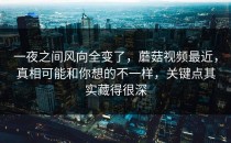一夜之间风向全变了，蘑菇视频最近，真相可能和你想的不一样，关键点其实藏得很深