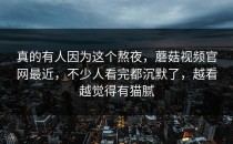 真的有人因为这个熬夜，蘑菇视频官网最近，不少人看完都沉默了，越看越觉得有猫腻