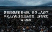 蘑菇短视频看着普通，真正让人停下来的反而是这些边角信息，越看越觉得有猫腻