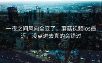 一夜之间风向全变了，蘑菇视频ios最近，没点进去真的会错过