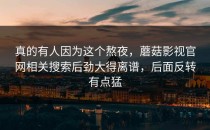真的有人因为这个熬夜，蘑菇影视官网相关搜索后劲大得离谱，后面反转有点猛