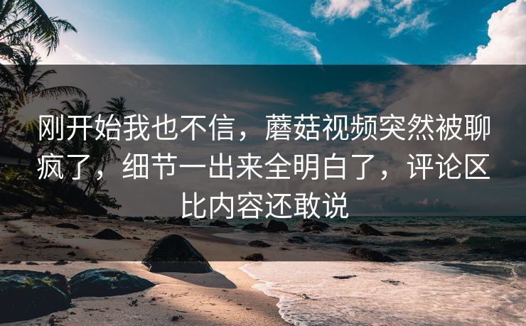 刚开始我也不信，蘑菇视频突然被聊疯了，细节一出来全明白了，评论区比内容还敢说  第1张