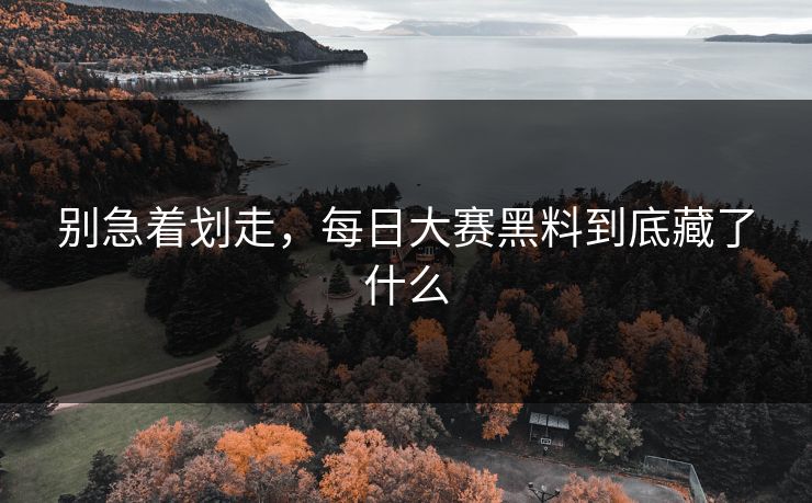 别急着划走，每日大赛黑料到底藏了什么  第1张