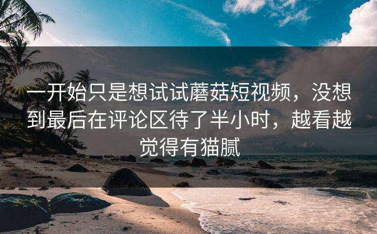 一开始只是想试试蘑菇短视频,没想到最后在评论区待了半小时,越看越觉得有猫腻 第1张 一开始只是想试试蘑菇短视频,没想到最后在评论区待了半小时,越看越觉得有猫腻 第1张