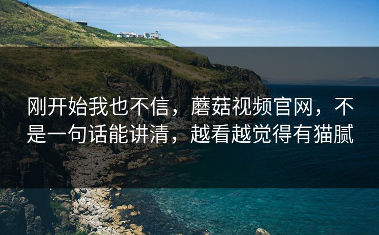 刚开始我也不信，蘑菇视频官网，不是一句话能讲清，越看越觉得有猫腻  第1张