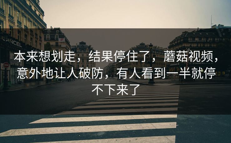 本来想划走，结果停住了，蘑菇视频，意外地让人破防，有人看到一半就停不下来了  第1张