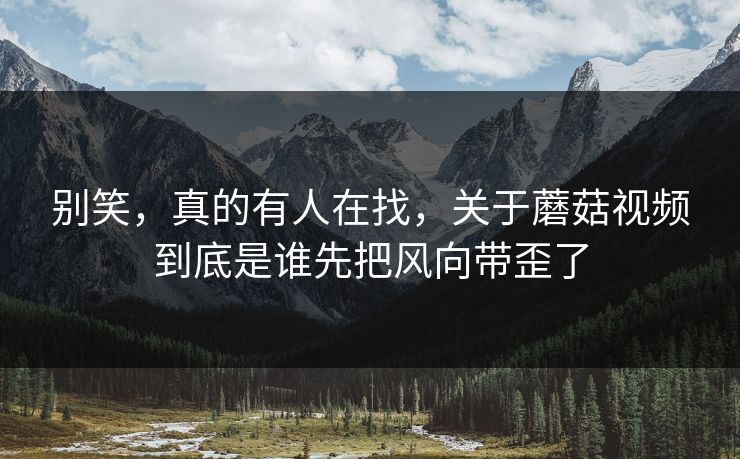 别笑,真的有人在找,关于蘑菇视频到底是谁先把风向带歪了 第1张 别笑,真的有人在找,关于蘑菇视频到底是谁先把风向带歪了 第1张