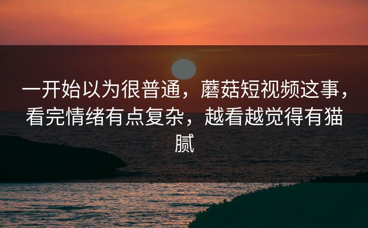 一开始以为很普通，蘑菇短视频这事，看完情绪有点复杂，越看越觉得有猫腻  第1张