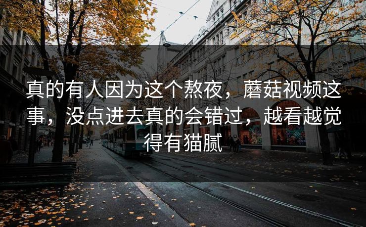 真的有人因为这个熬夜，蘑菇视频这事，没点进去真的会错过，越看越觉得有猫腻  第1张