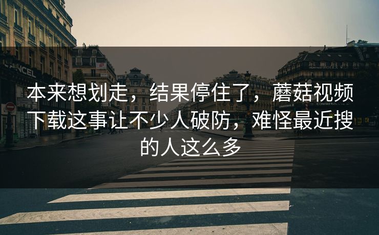 本来想划走,结果停住了,蘑菇视频下载这事让不少人破防,难怪最近搜的人这么多 第1张 本来想划走,结果停住了,蘑菇视频下载这事让不少人破防,难怪最近搜的人这么多 第1张