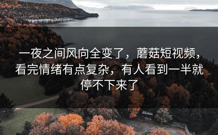 一夜之间风向全变了,蘑菇短视频,看完情绪有点复杂,有人看到一半就停不下来了 第1张 一夜之间风向全变了,蘑菇短视频,看完情绪有点复杂,有人看到一半就停不下来了 第1张