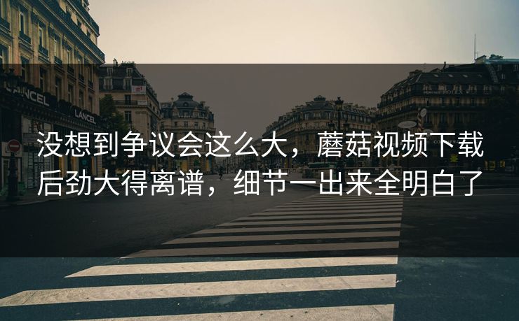 没想到争议会这么大，蘑菇视频下载后劲大得离谱，细节一出来全明白了  第1张