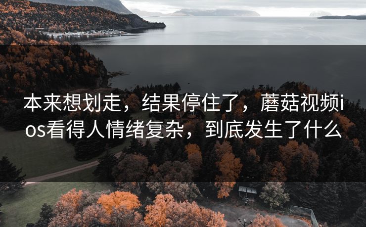 本来想划走，结果停住了，蘑菇视频ios看得人情绪复杂，到底发生了什么  第1张