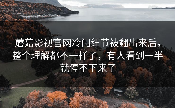 蘑菇影视官网冷门细节被翻出来后,整个理解都不一样了,有人看到一半就停不下来了 第1张 蘑菇影视官网冷门细节被翻出来后,整个理解都不一样了,有人看到一半就停不下来了 第1张